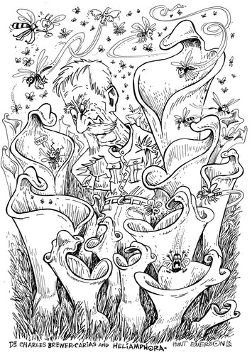 Charles Brewer-Carias