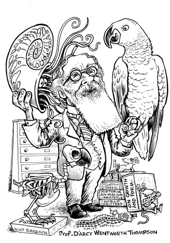 D'arcy Wentworth Thomson